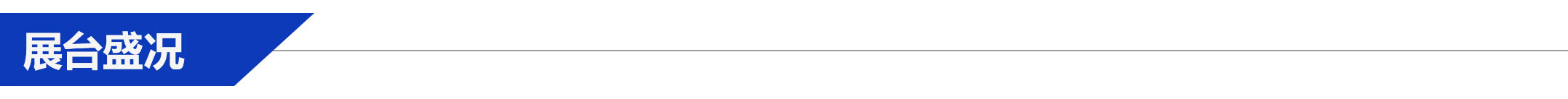 展臺(tái)盛況.jpg